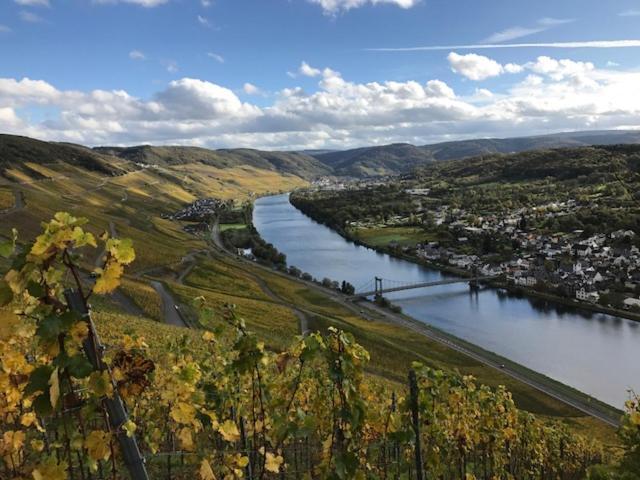 Ferien-Wein-Gut Keifer Otel Bernkastel-Kues Dış mekan fotoğraf