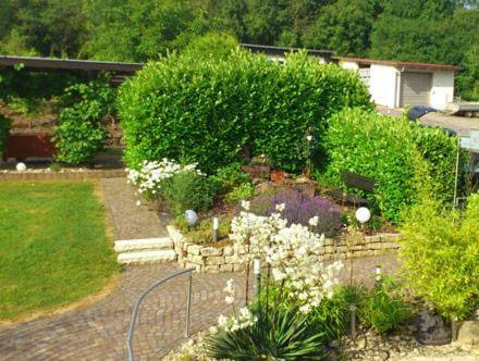 Ferien-Wein-Gut Keifer Otel Bernkastel-Kues Dış mekan fotoğraf